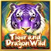 Tiger and Dragon Wild cover art